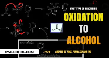 Understanding Oxidation Reactions: Transforming Alcohols in Organic Chemistry