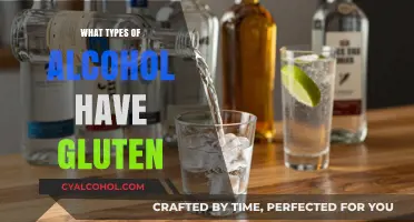 Gluten-Free Alcohol Guide: Which Drinks Are Safe for Celiac Sufferers?