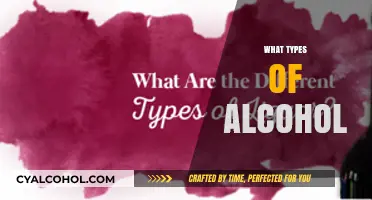 Exploring the Diverse World of Alcohol Types and Varieties