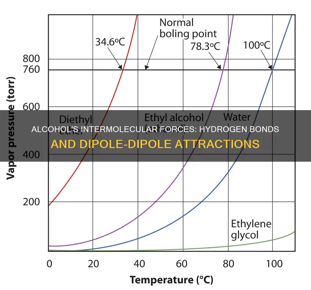 what types of intermolecular interactions are present in alcohol