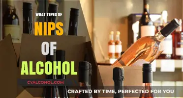 Exploring Various Alcohol Nip Types: A Comprehensive Guide to Mini Bottles