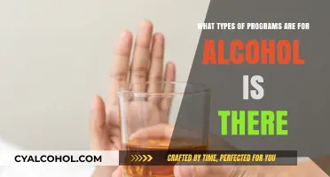 Alcohol Treatment Programs: What Are Your Options?