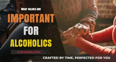 Core Values for Recovery: Guiding Principles for Alcoholics' Healing Journey
