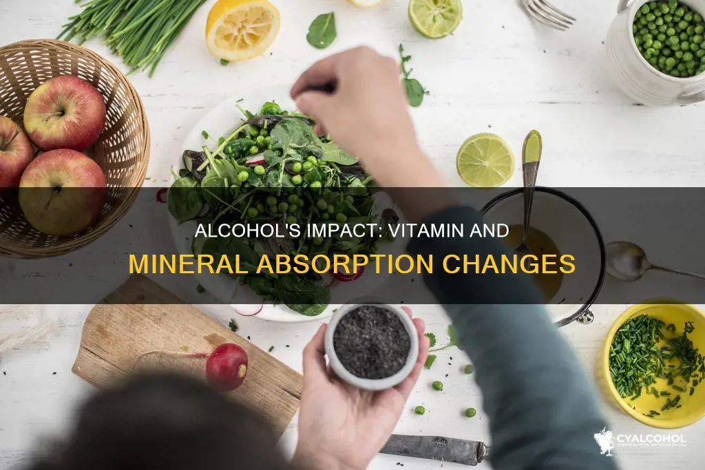 what vitamin and mineral absorption is altered by alcohol