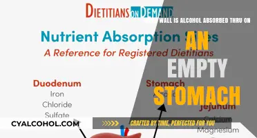 Alcohol Absorption: The Stomach Wall and Empty Stomachs