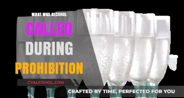 Speakeasy Secrets: Unveiling Prohibition's Code Names for Alcohol