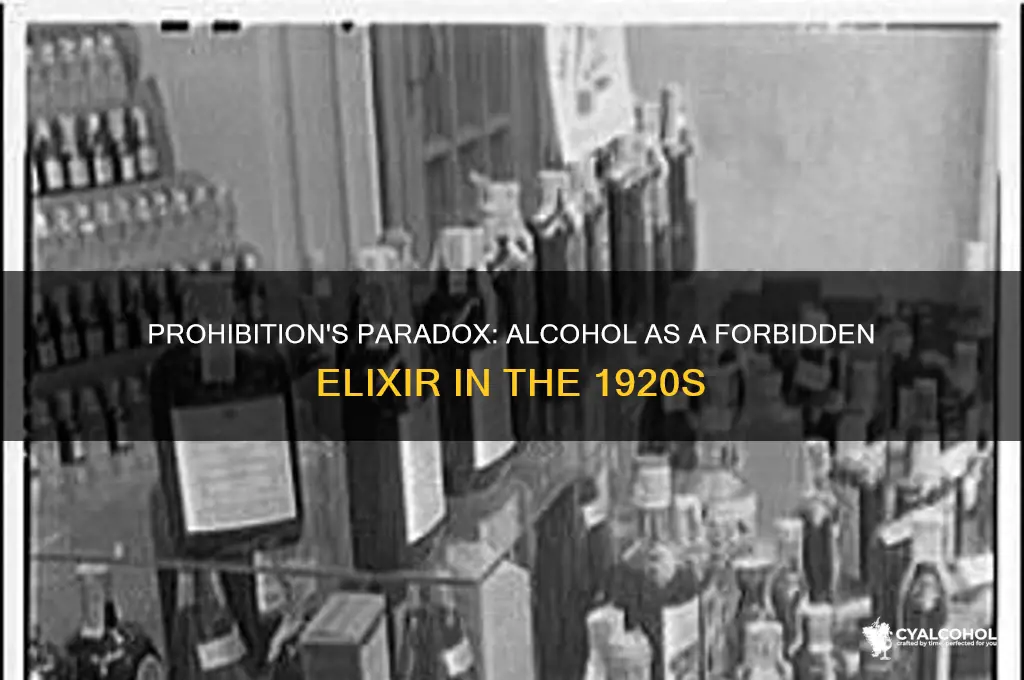 what was alcohol considered during prohibition