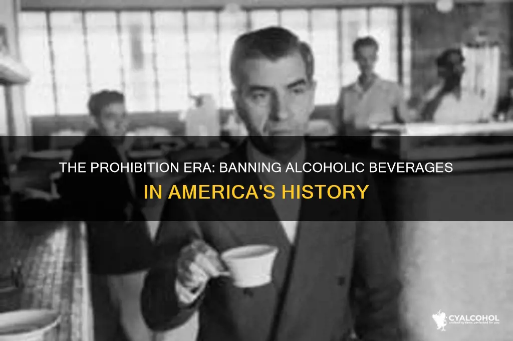 what was banning of alcoholic beverages