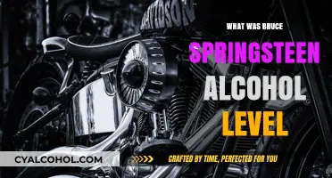 Bruce Springsteen's Alcohol Level: Unraveling the Truth Behind the Incident