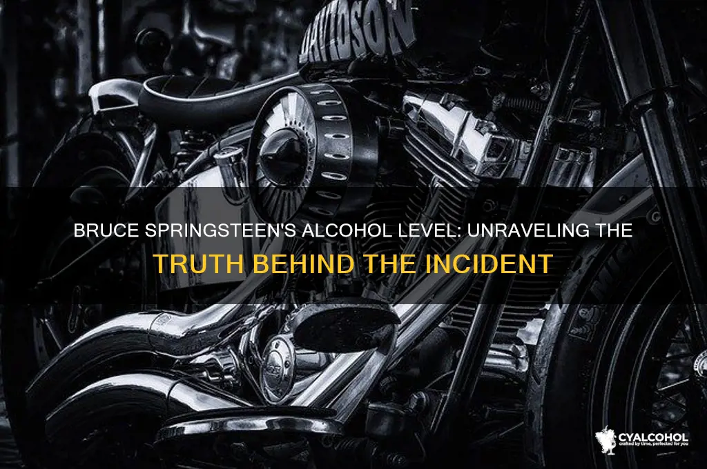 what was bruce springsteen alcohol level