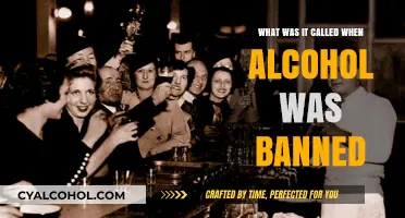 Prohibition Era: When Alcohol Was Outlawed in America