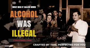 Prohibition Era: When Alcohol Was Outlawed in America