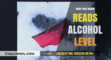 Karen Read's Alcohol Level: Unraveling the Evidence and Legal Implications