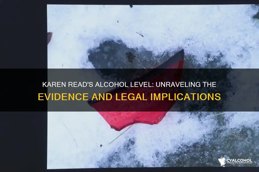 what was karen reads alcohol level