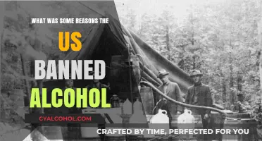 Why America Banned Alcohol: Exploring the Prohibition Era's Key Reasons