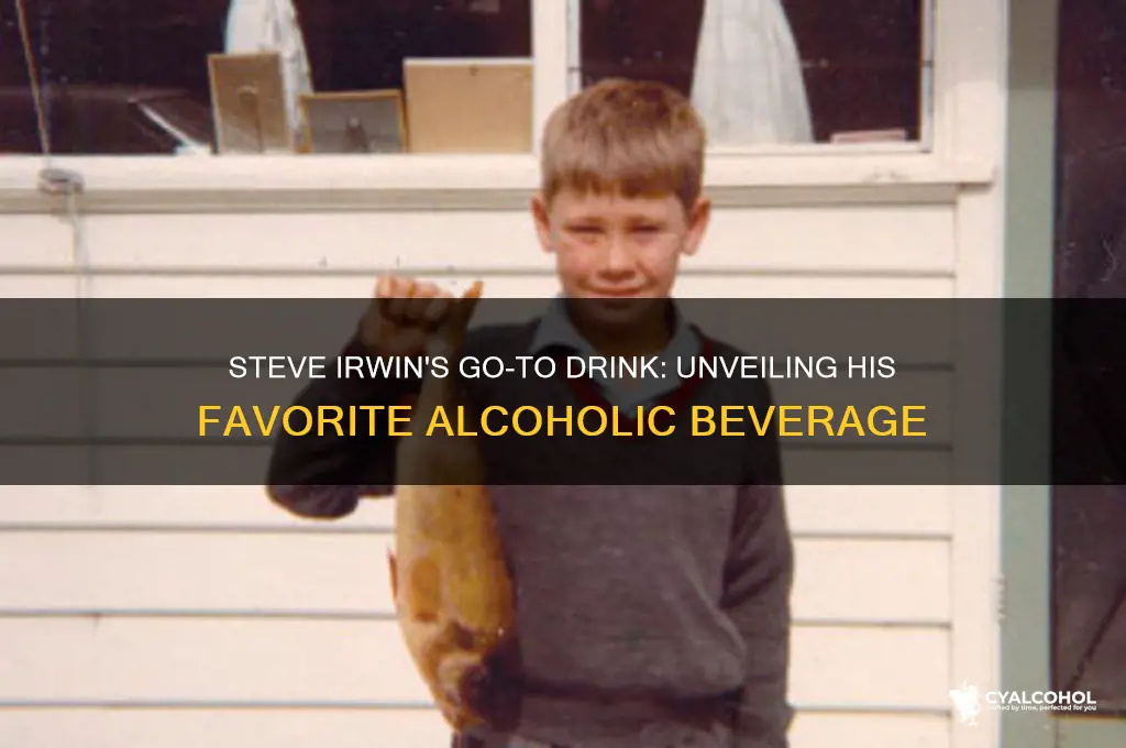 what was steve irwin