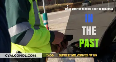 Michigan's Past Alcohol Limit Laws: How Strict Were They?
