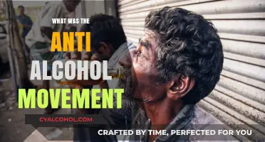 The Anti-Alcohol Movement: A Historical Crusade Against Intoxication