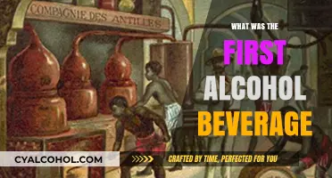 Unveiling the Origins: The World's First Alcoholic Beverage Revealed