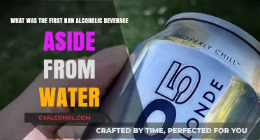 The First Non-Alcoholic Beverage: A Historical Perspective
