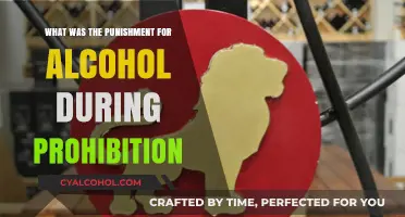Prohibition Penalties: Harsh Consequences for Alcohol Possession and Sales