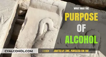 Unveiling the Ancient Role and Purpose of Alcohol in Societies