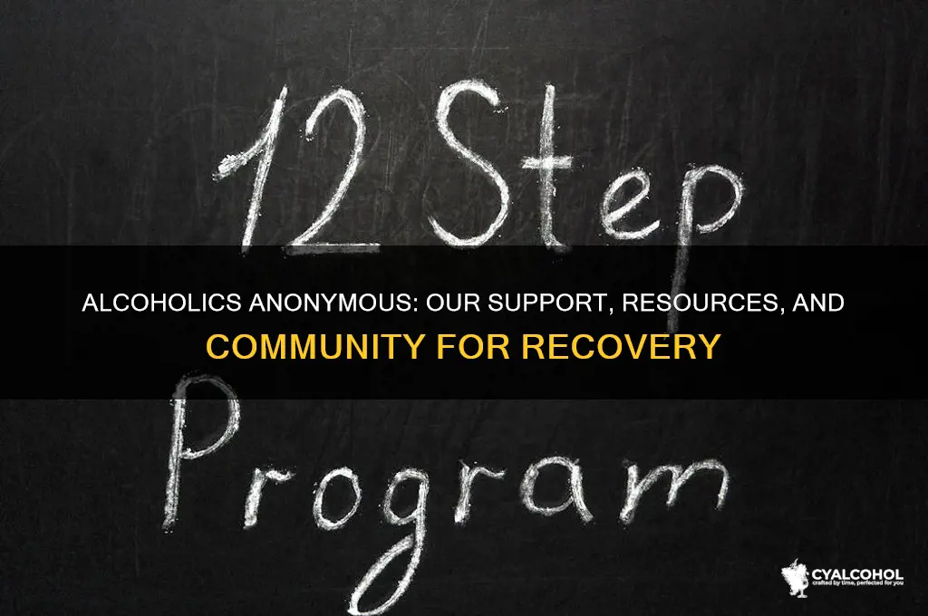 what we have to offer alcoholics anonymous opinion