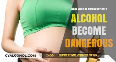 When Does Alcohol Pose Risks During Pregnancy? Key Weeks Explained