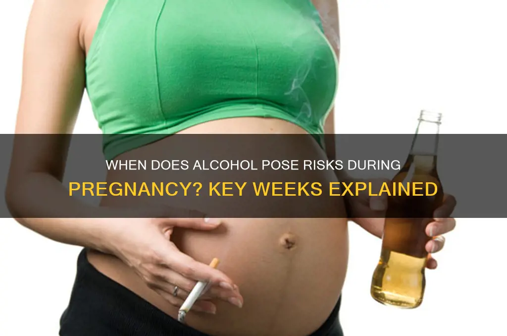 what week of pregnancy does alcohol become dangerous