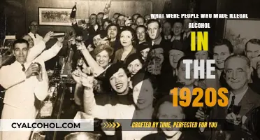 Bootleggers: The Real 1920s Moonshine Runners