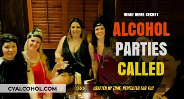 Unveiling the Hidden World of Underground Prohibition-Era Drinking Gatherings