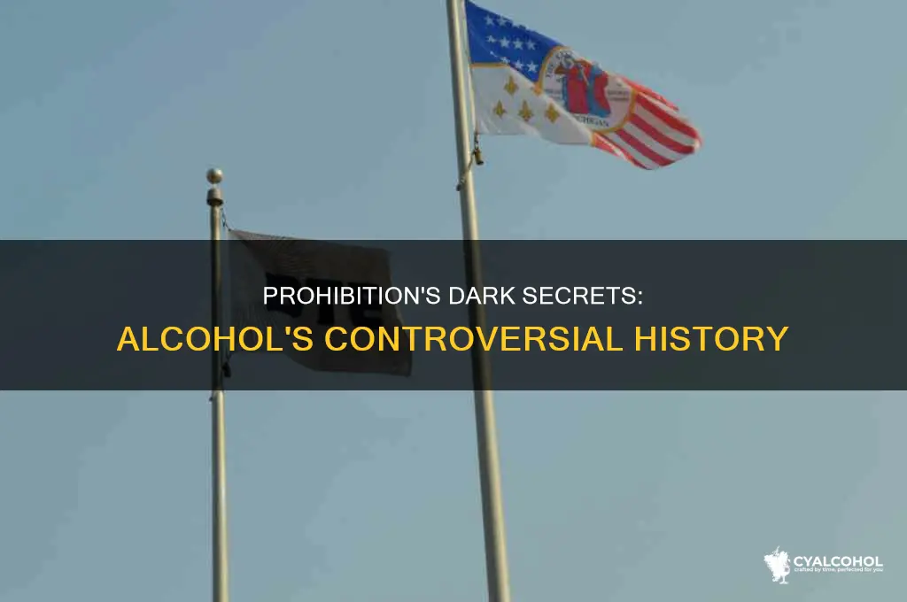 what were the controversies around the prohibition of alcohol