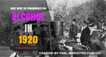 Prohibition Penalties: Harsh Consequences for Alcohol in the 1920s