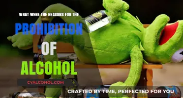 Why America Banned Alcohol: Prohibition's Causes