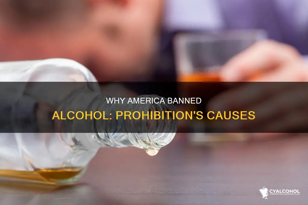 what were the reasons for the prohibition of alcohol
