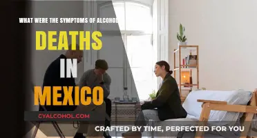 Alcohol Deaths: Mexico's Symptoms Unveiled
