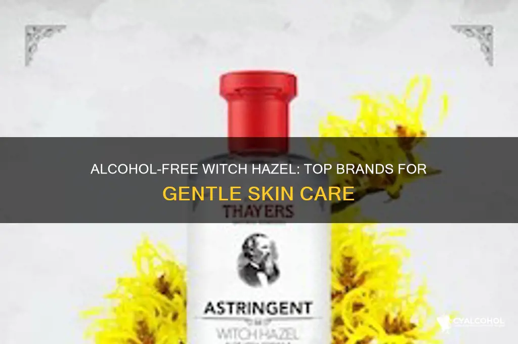 what witch hazel brands do not have alcohol