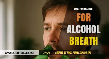 Effective Remedies to Neutralize Alcohol Breath: What Works Best