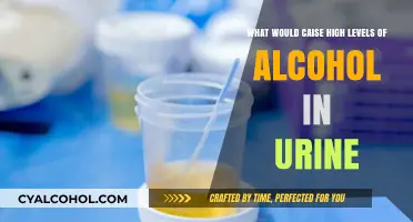 Alcohol Urine Test: Why So High?