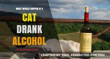 Can Cats Handle Alcohol? Risks and Consequences of Feline Intoxication
