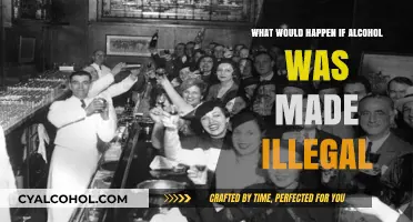 Prohibition's Return: Exploring the Impact of Banning Alcohol Today