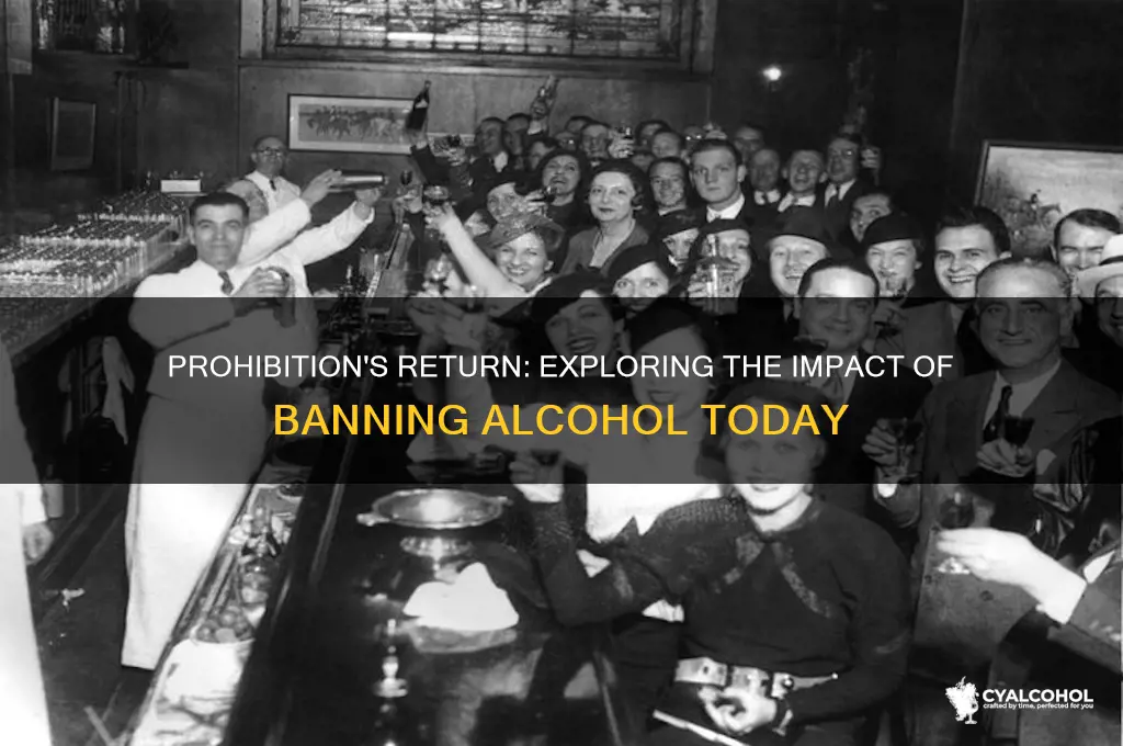 what would happen if alcohol was made illegal