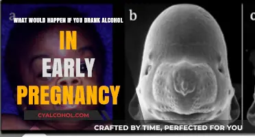 Alcohol in Early Pregnancy: What's the Harm?