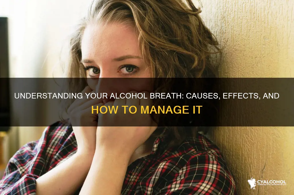 what would my alcohol breath be