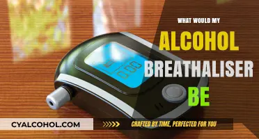 Understanding Your Alcohol Breathalyzer Reading: Factors and Implications