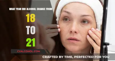 The Year Drinking Age Increased to 21 in the US