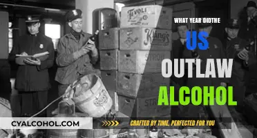 The Year America Banned Alcohol: A Historical Overview of Prohibition