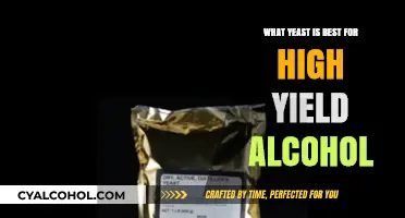 Top Yeast Strains for Maximizing Alcohol Yield in Brewing