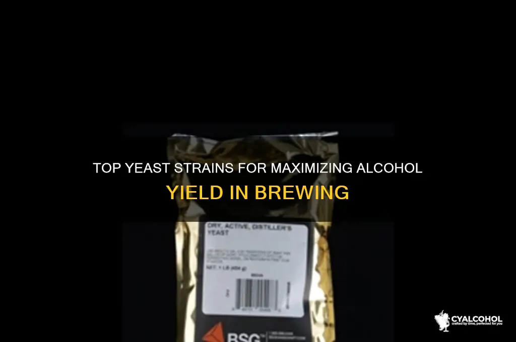 what yeast is best for high yield alcohol