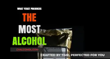 Top Alcohol-Producing Yeast Strains for High-Proof Brewing and Distilling